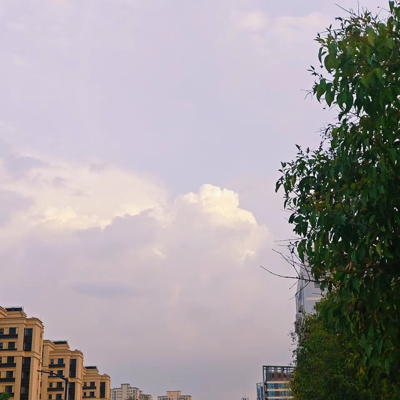 图片 4 图片 4